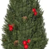 HOMCOM Weihnachtsbaum 50 Cm Christbaum Zypressen-Weihnachtsbaum Mit 7 Roten Beeren Und 6 Tannenzapfen Kunsttanne 170 Zweige Für Tisch Und Schreibtisch PVC PE Grün Ø27 X 47 Cm -Homcom e4417f2a79ae7a68159b396266a0dbf4